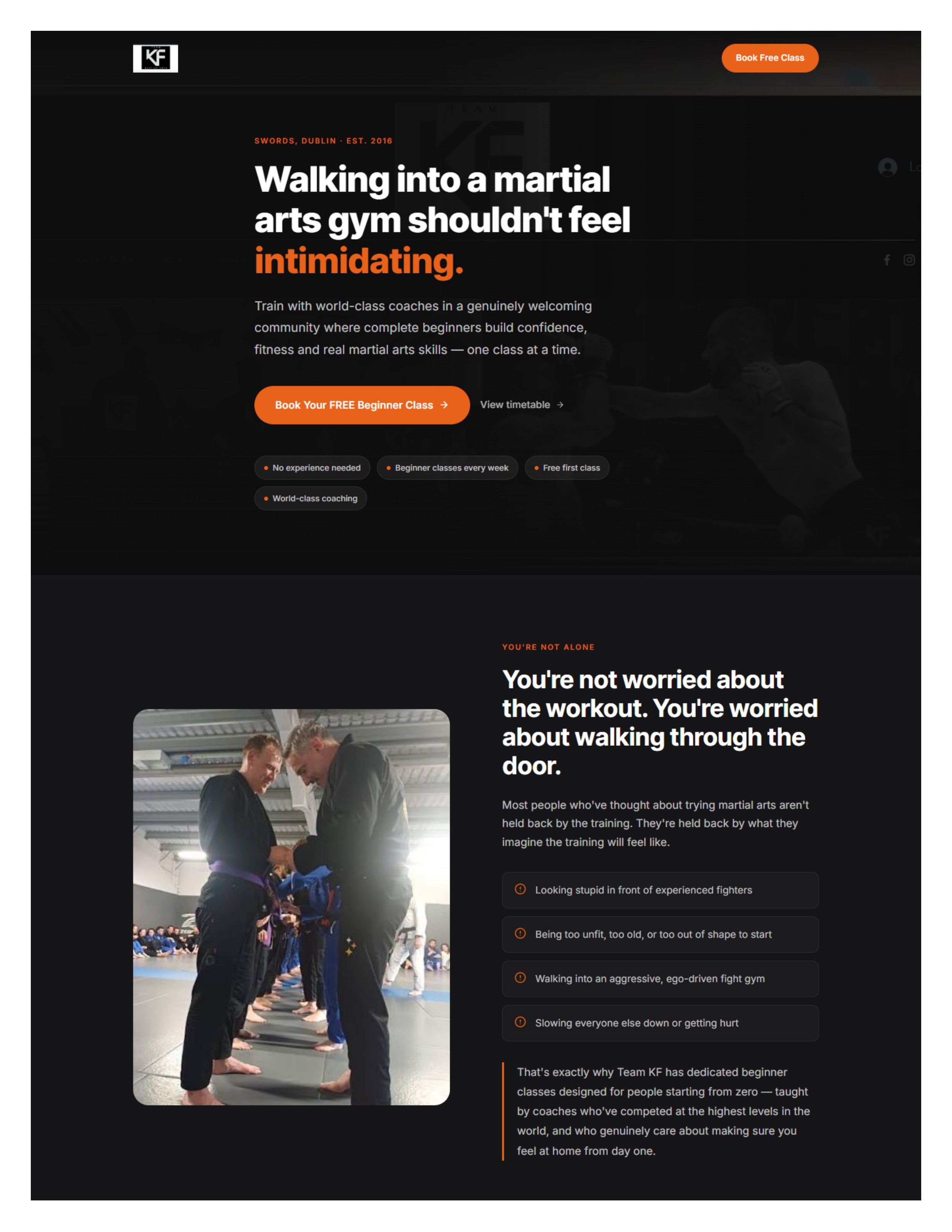 Team KF landing page section 1